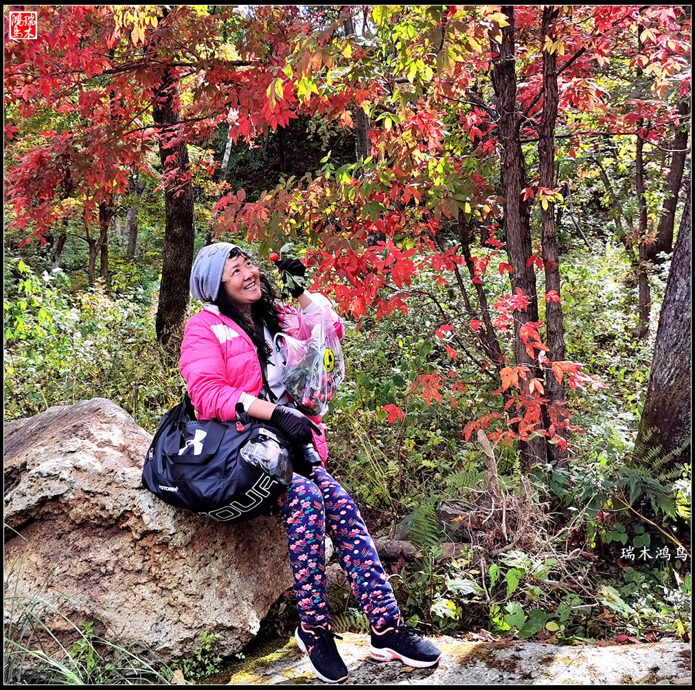 【秋游本溪】2.枫情老边沟