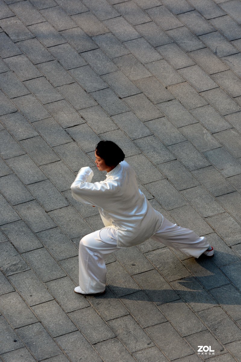 刚柔相济     中国功夫