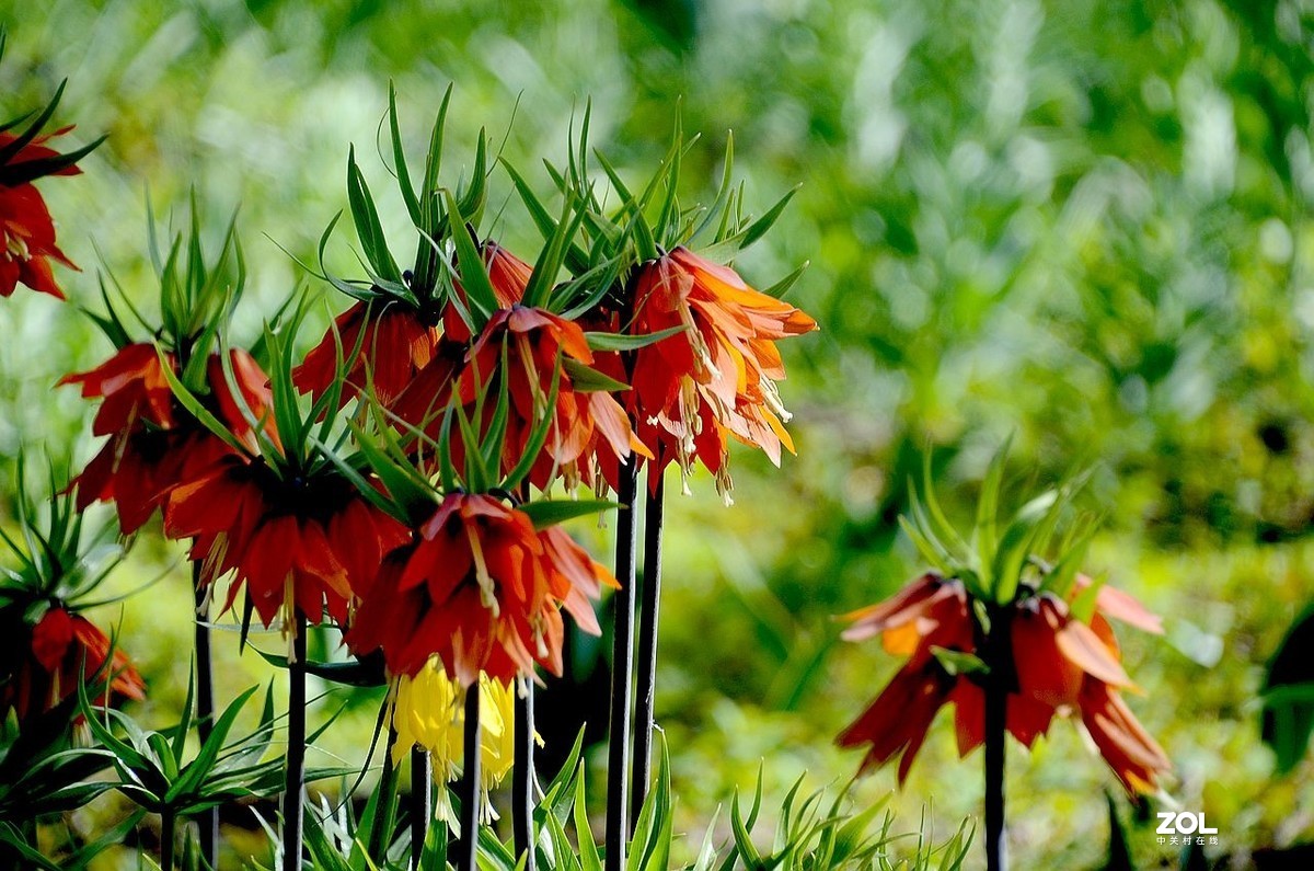 一 组 光 影 -----。