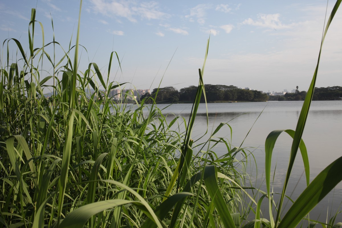 广州白云湖公园