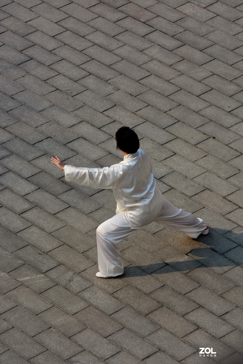 刚柔相济     中国功夫