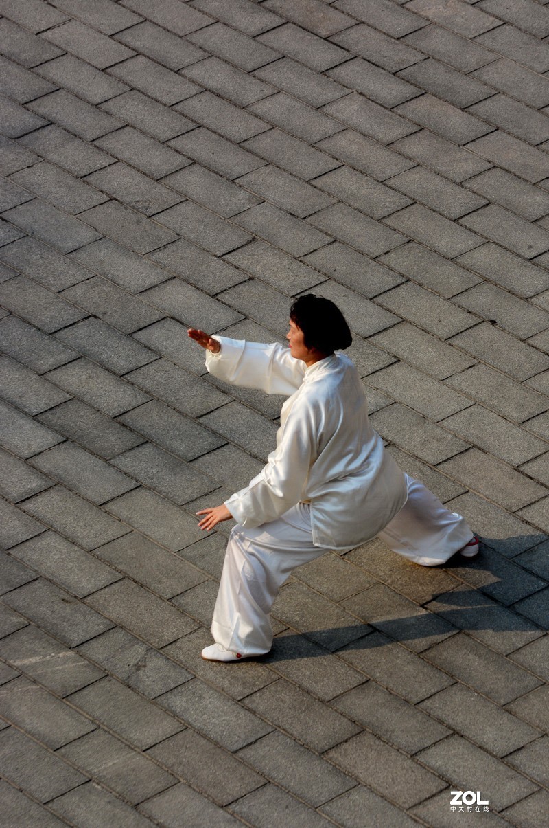 刚柔相济     中国功夫