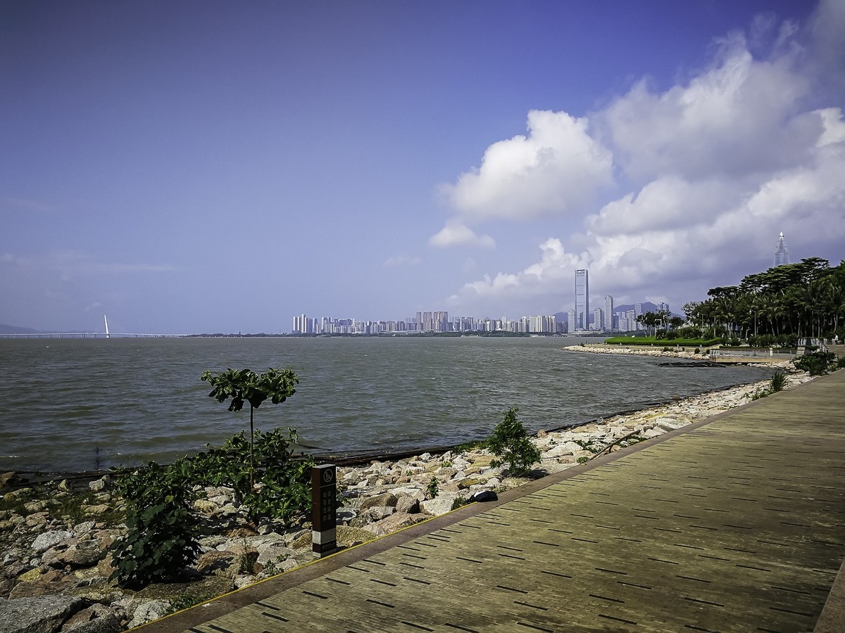 2020年深圳湾公园照片图片