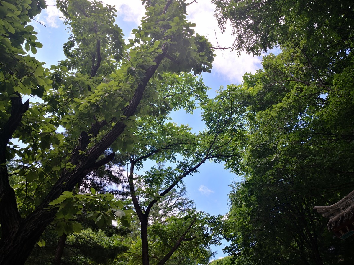鳳凰山西山景區