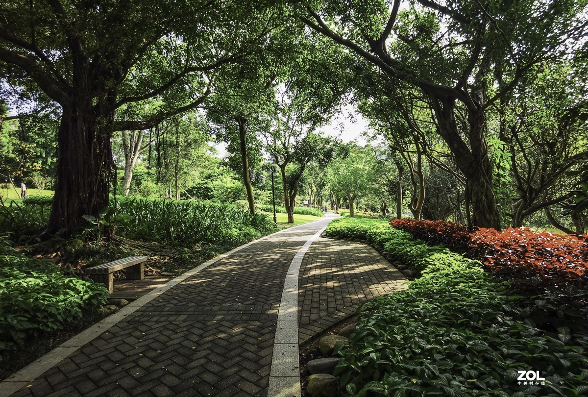 深圳筆架山公園掠影