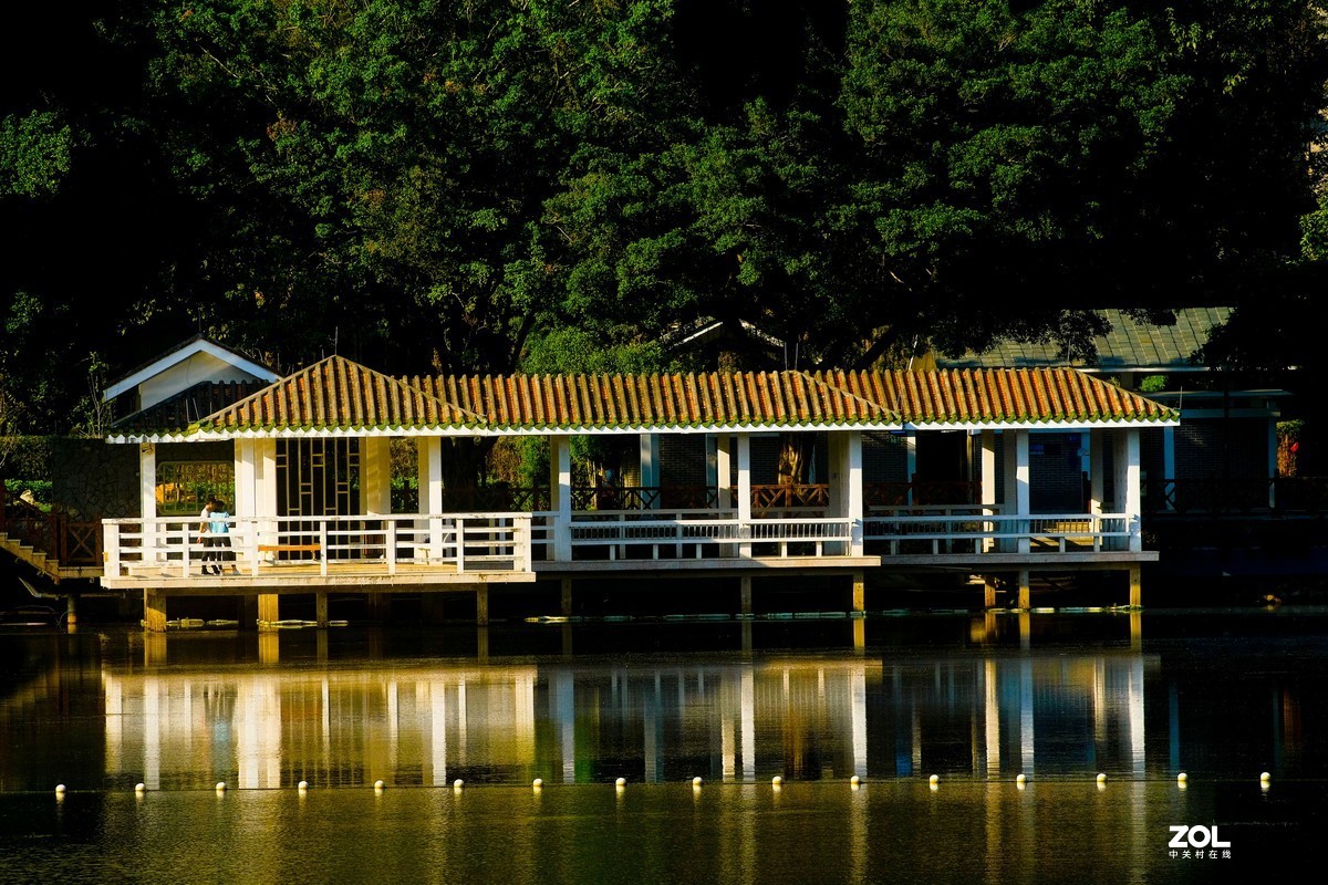 游公园边走边拍