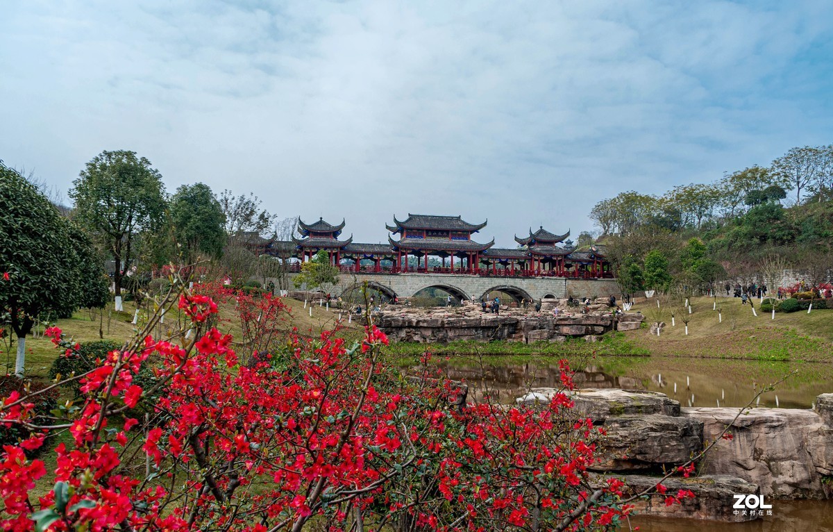 又到春天赏花季