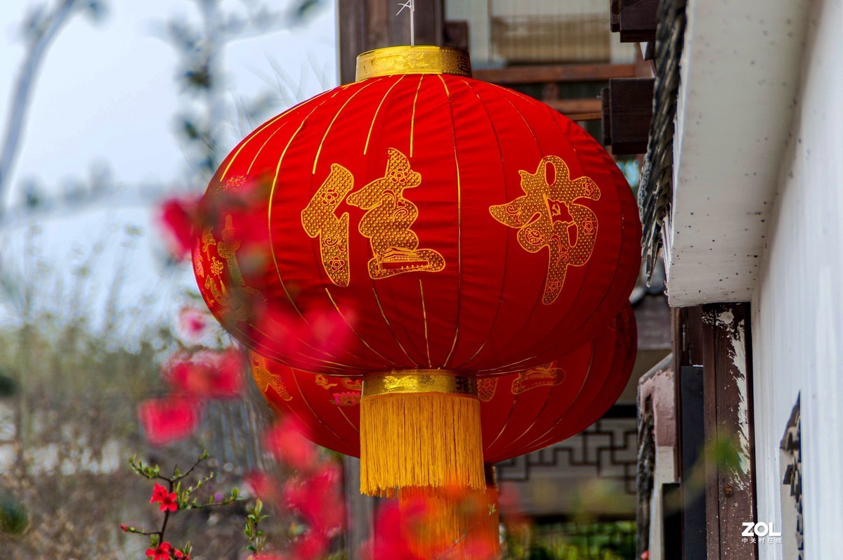 又到春天赏花季