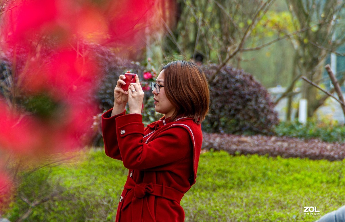 又到春天赏花季