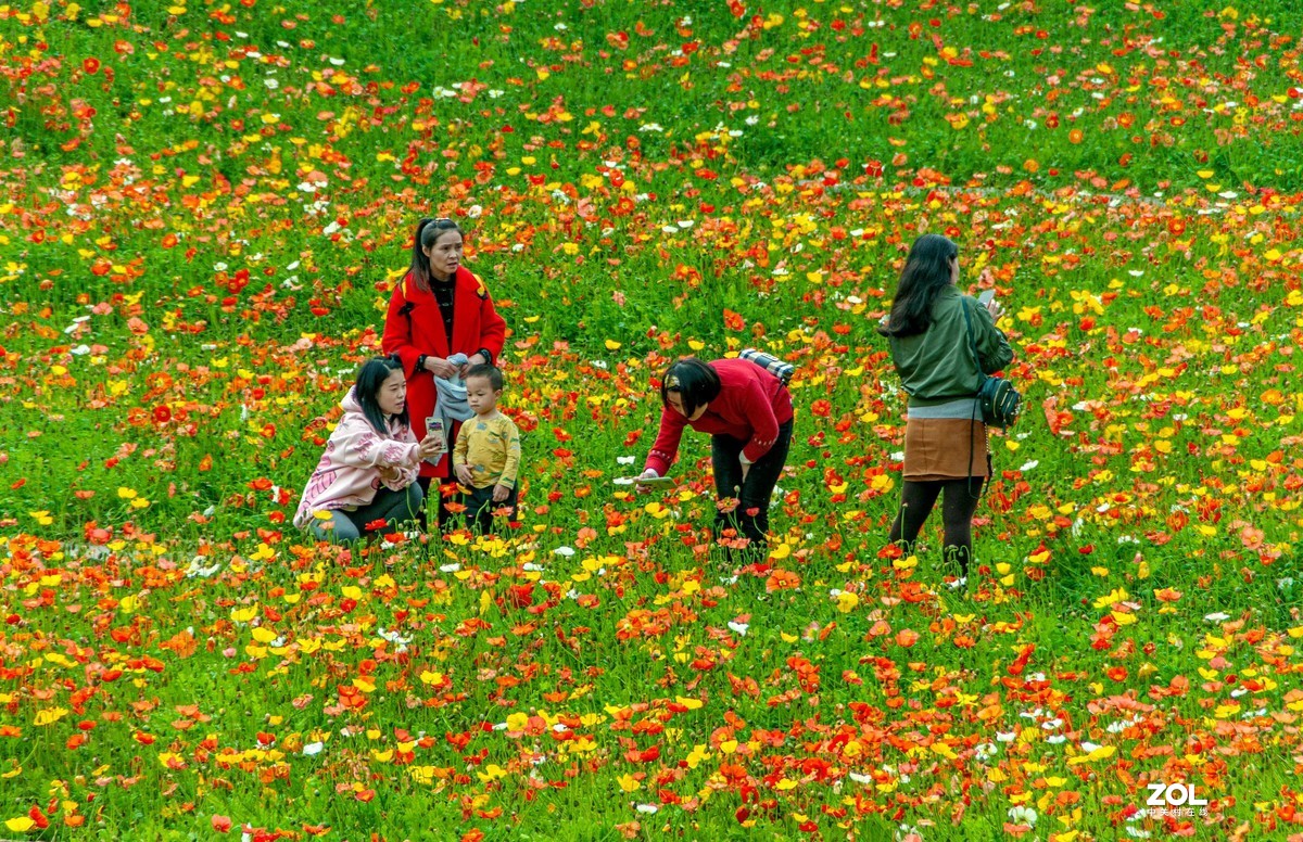 又到春天赏花季