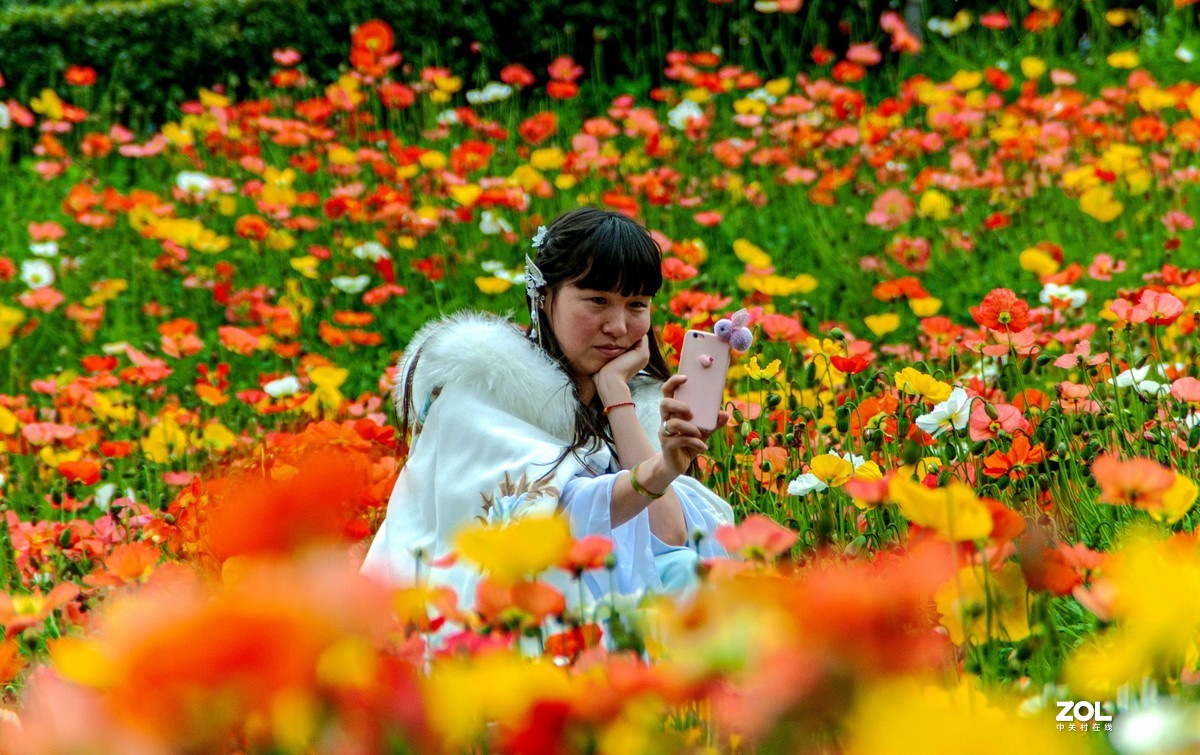 又到春天赏花季