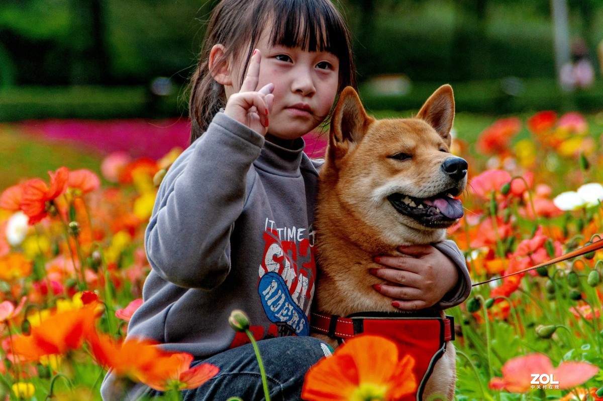 又到春天赏花季