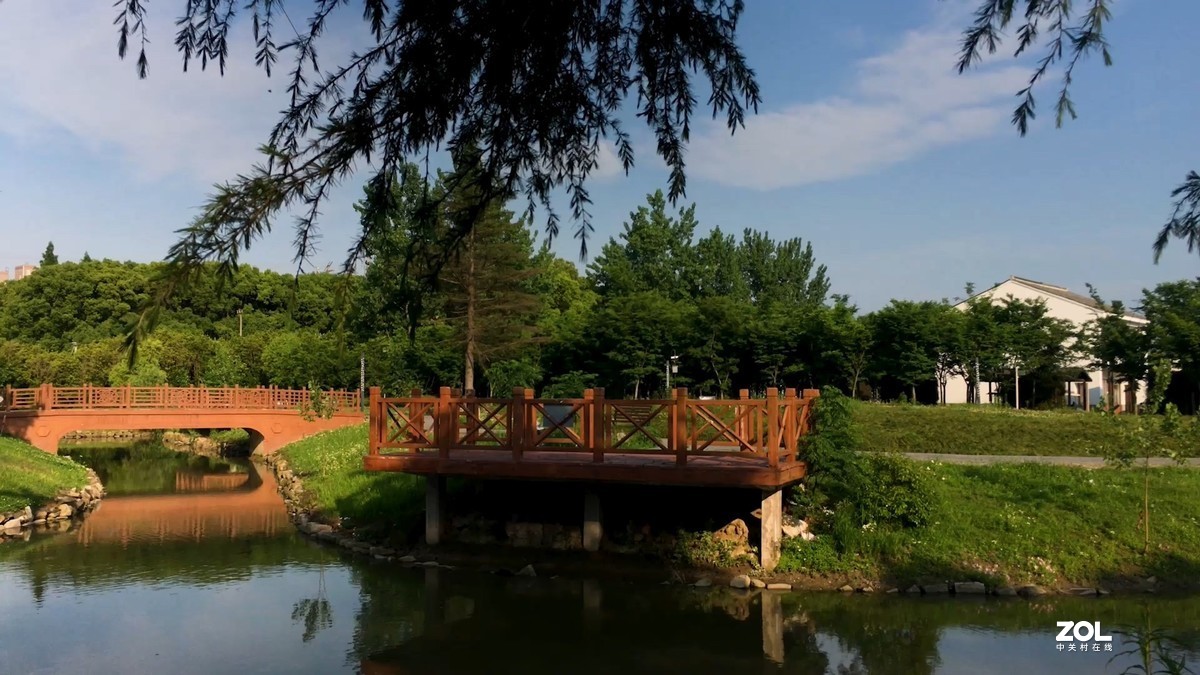 视频中截取的图片