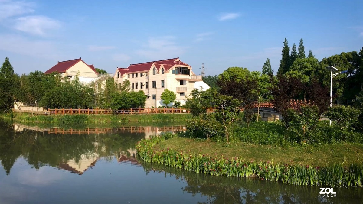 视频中截取的图片