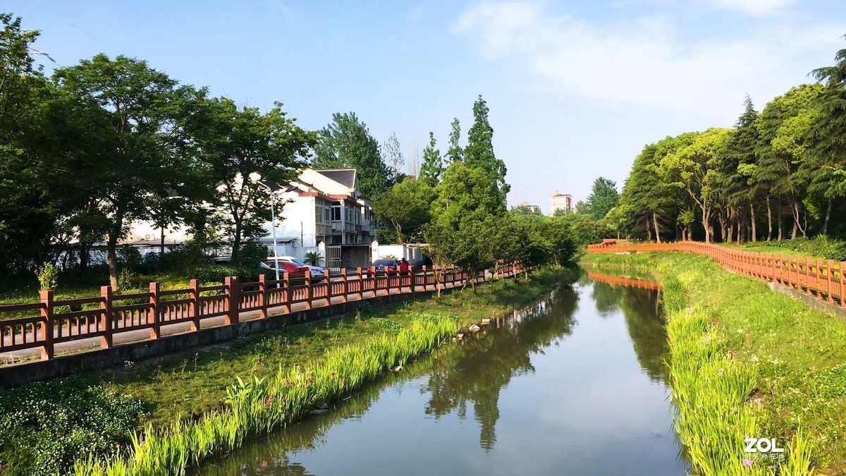 视频中截取的图片