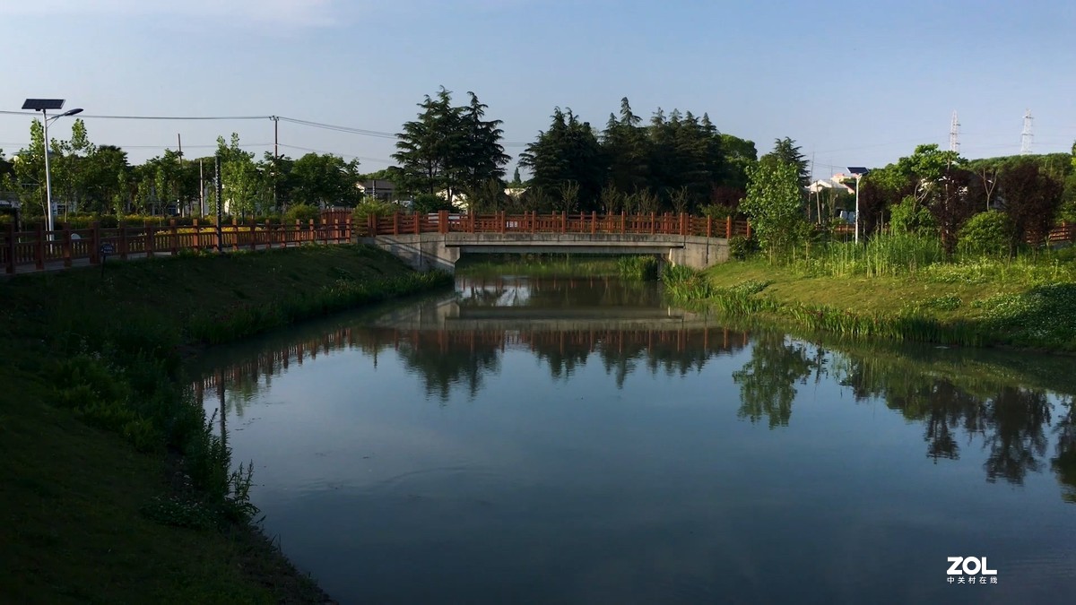 视频中截取的图片