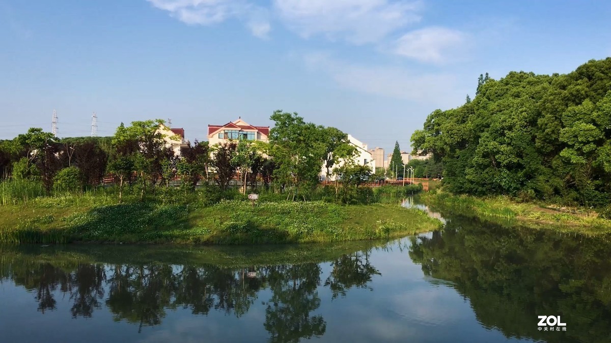 视频中截取的图片