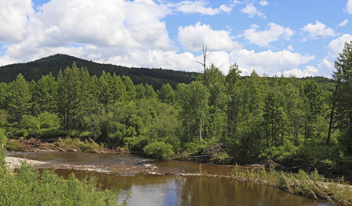 【难忘的旅行，自驾呼伦贝尔】—【6】莫尔道嘎森林公园