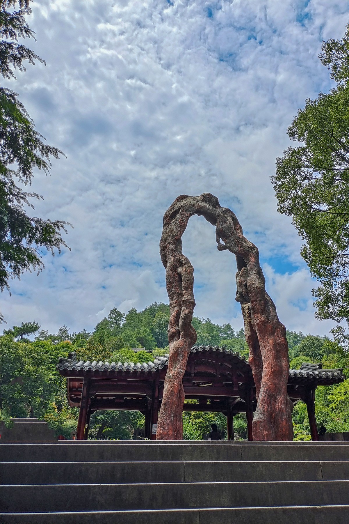 根宫佛国开化是个好地方