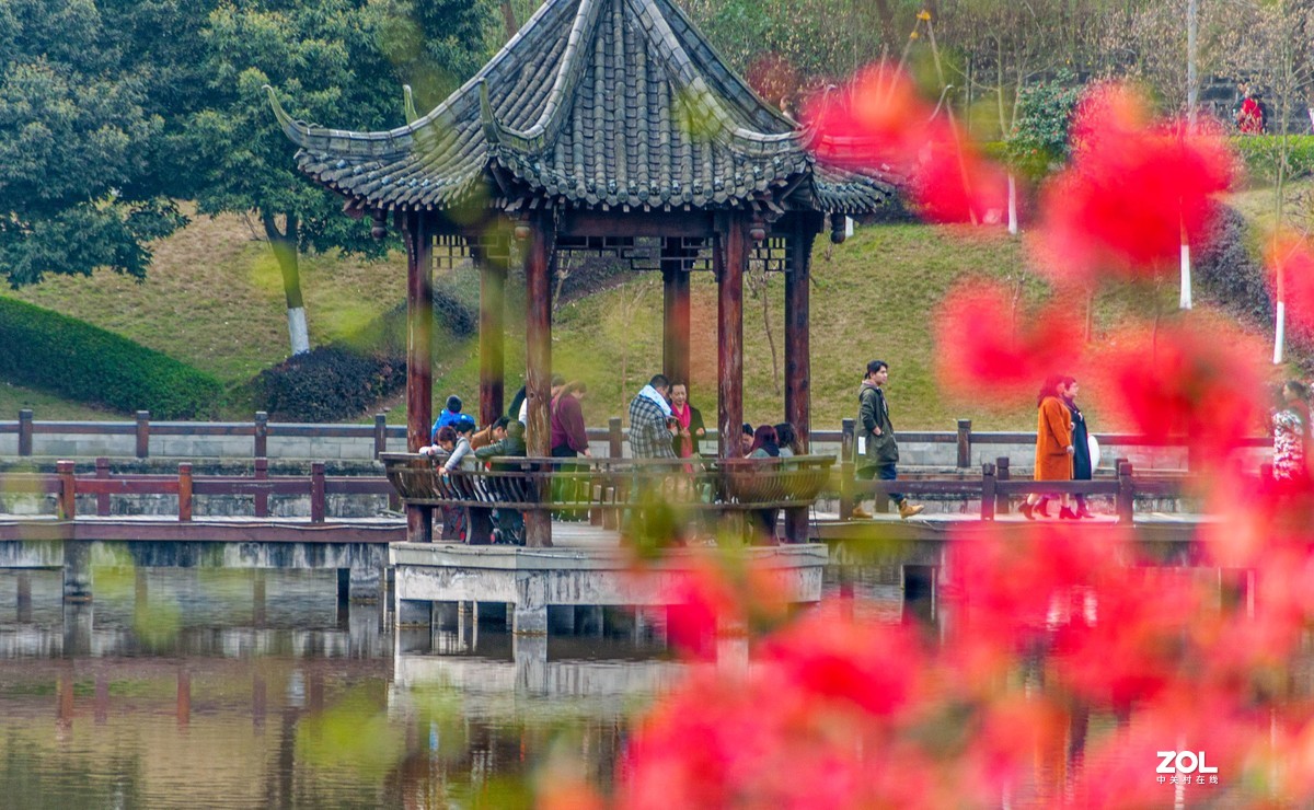 又到春天赏花季