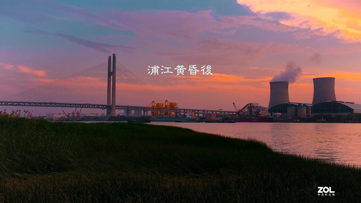 视频中截取的图片