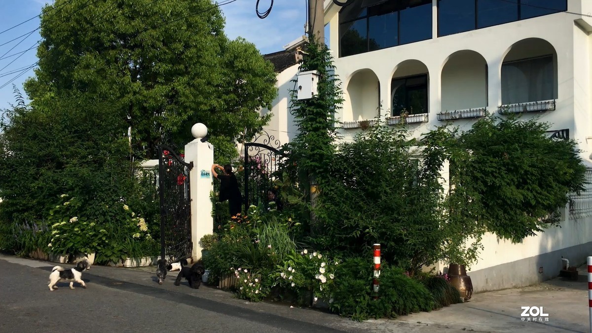 视频中截取的图片