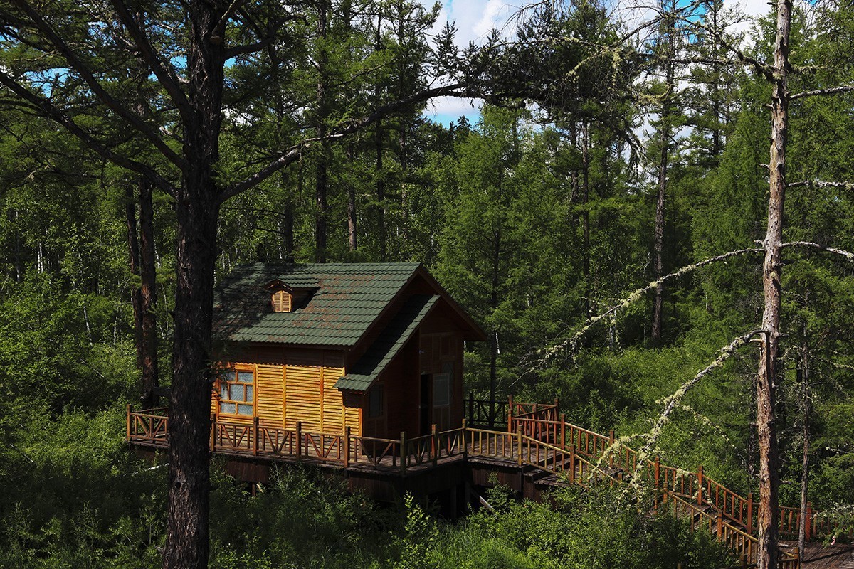 【难忘的旅行，自驾呼伦贝尔】—【6】莫尔道嘎森林公园