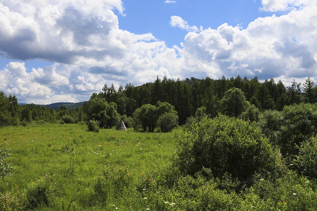 【难忘的旅行，自驾呼伦贝尔】—【6】莫尔道嘎森林公园