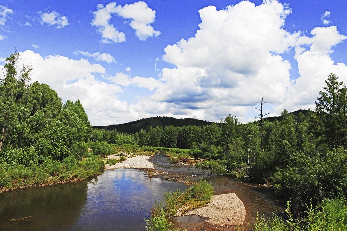 【难忘的旅行，自驾呼伦贝尔】—【6】莫尔道嘎森林公园
