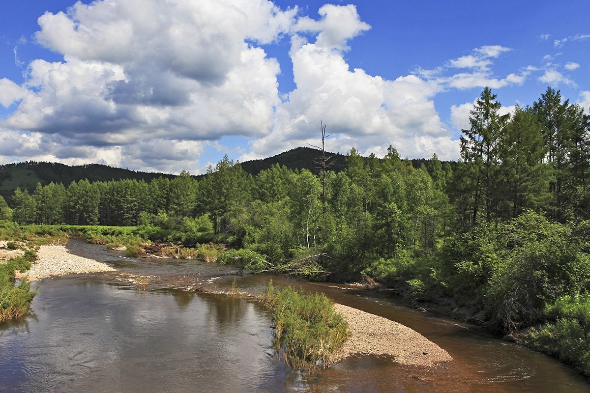 【难忘的旅行，自驾呼伦贝尔】—【6】莫尔道嘎森林公园