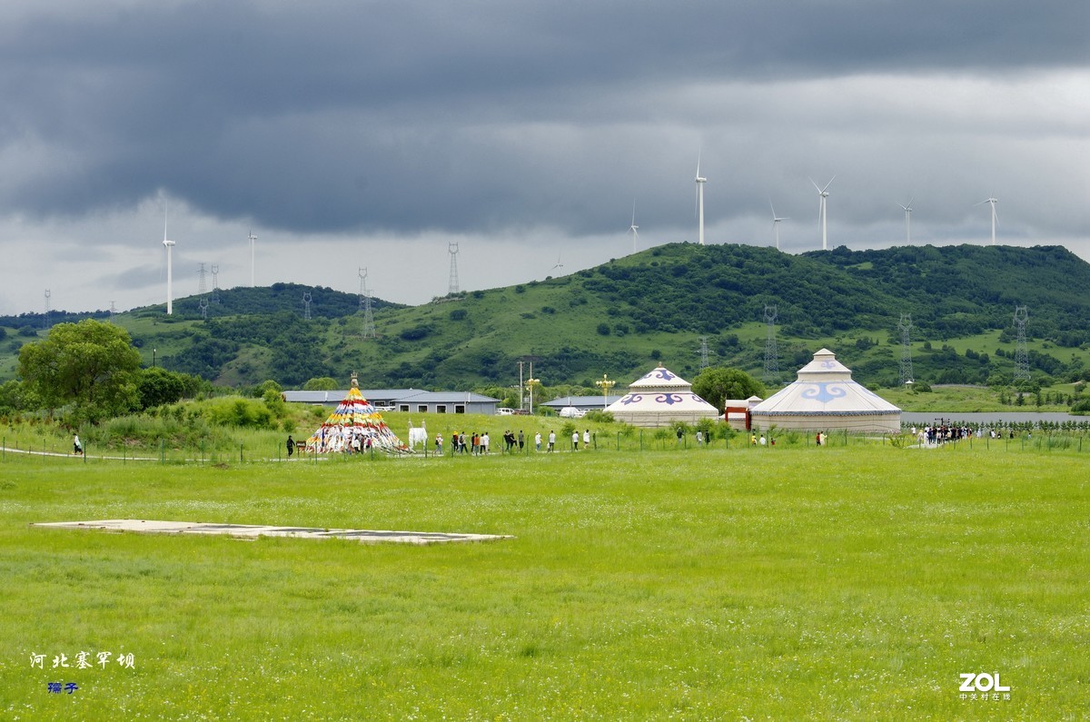 AD17-70镜头配“二傻”雨中纪实