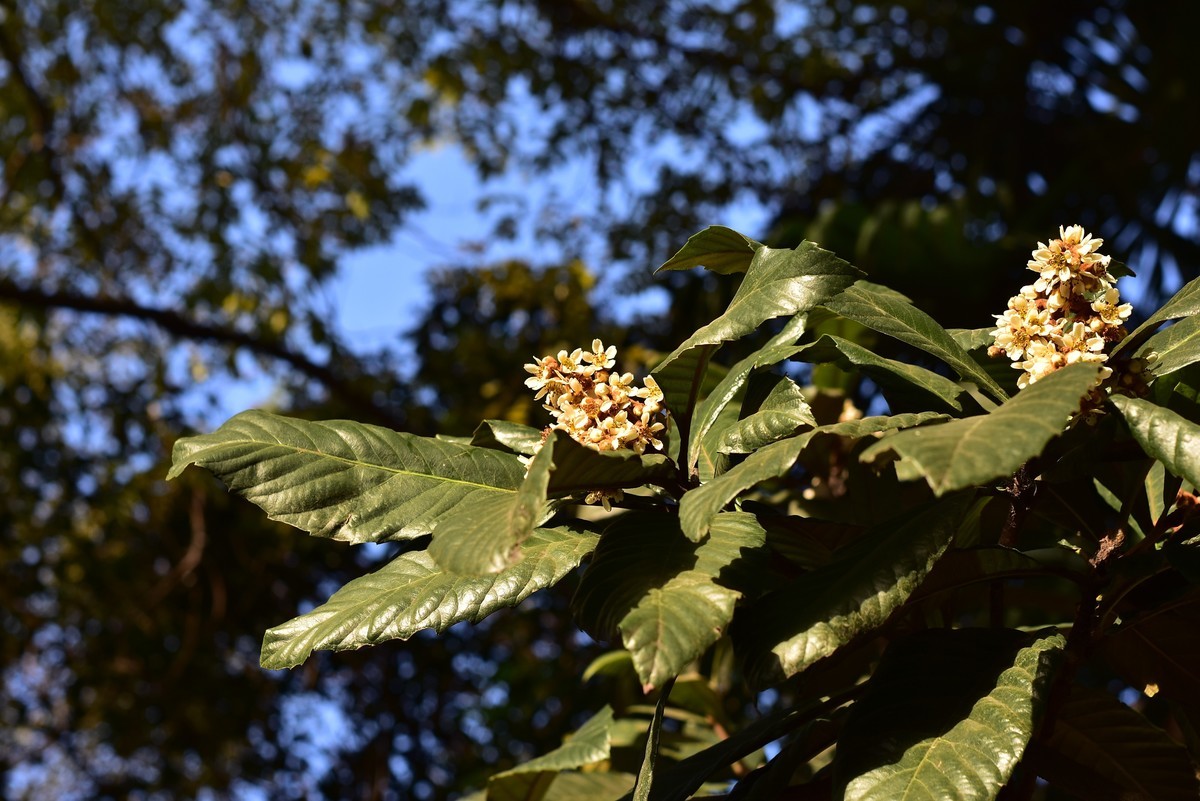西安科技二路街拍
