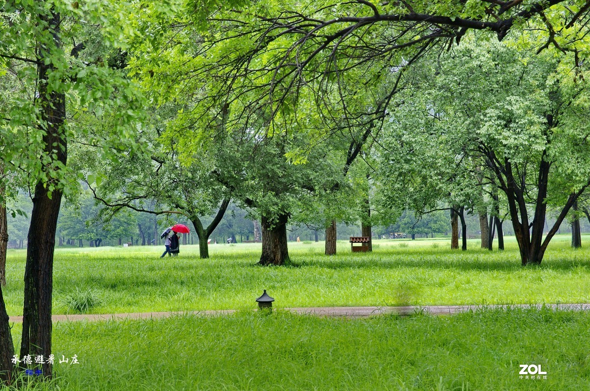 AD17-70镜头配“二傻”雨中纪实