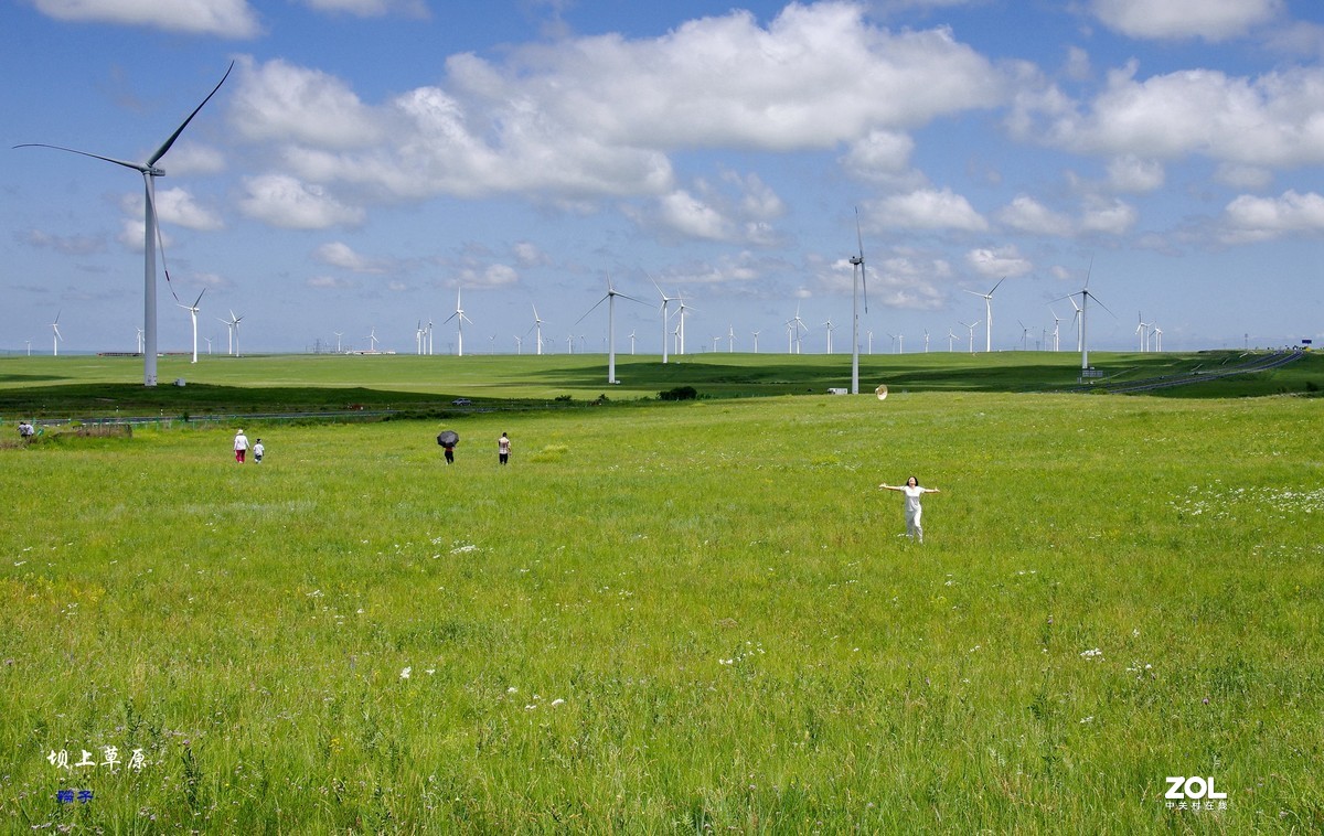 AD17-70镜头配“二傻”雨中纪实