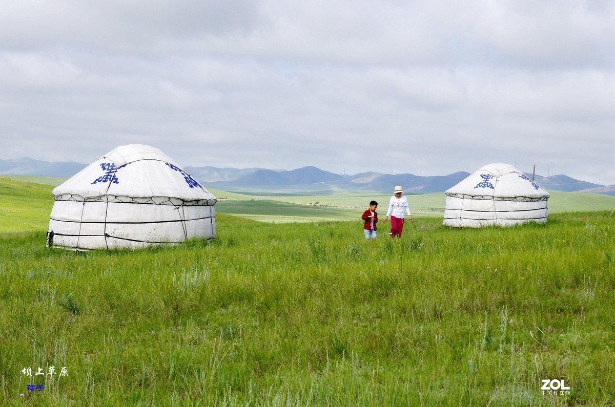 AD17-70镜头配“二傻”雨中纪实