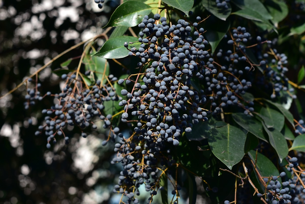 西安科技二路街拍