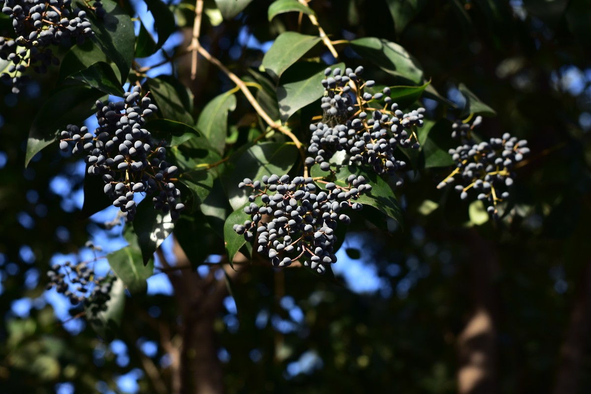 西安科技二路街拍
