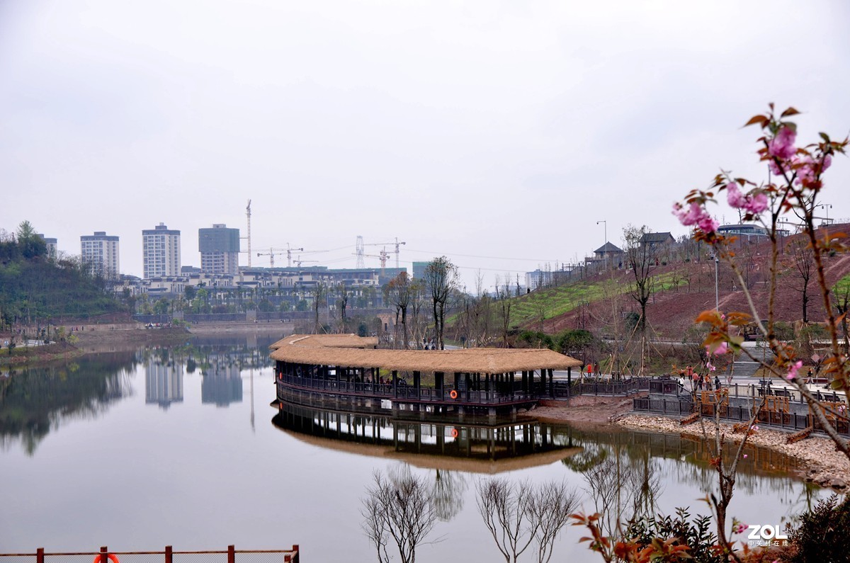 三八婦女節古道灣公園2