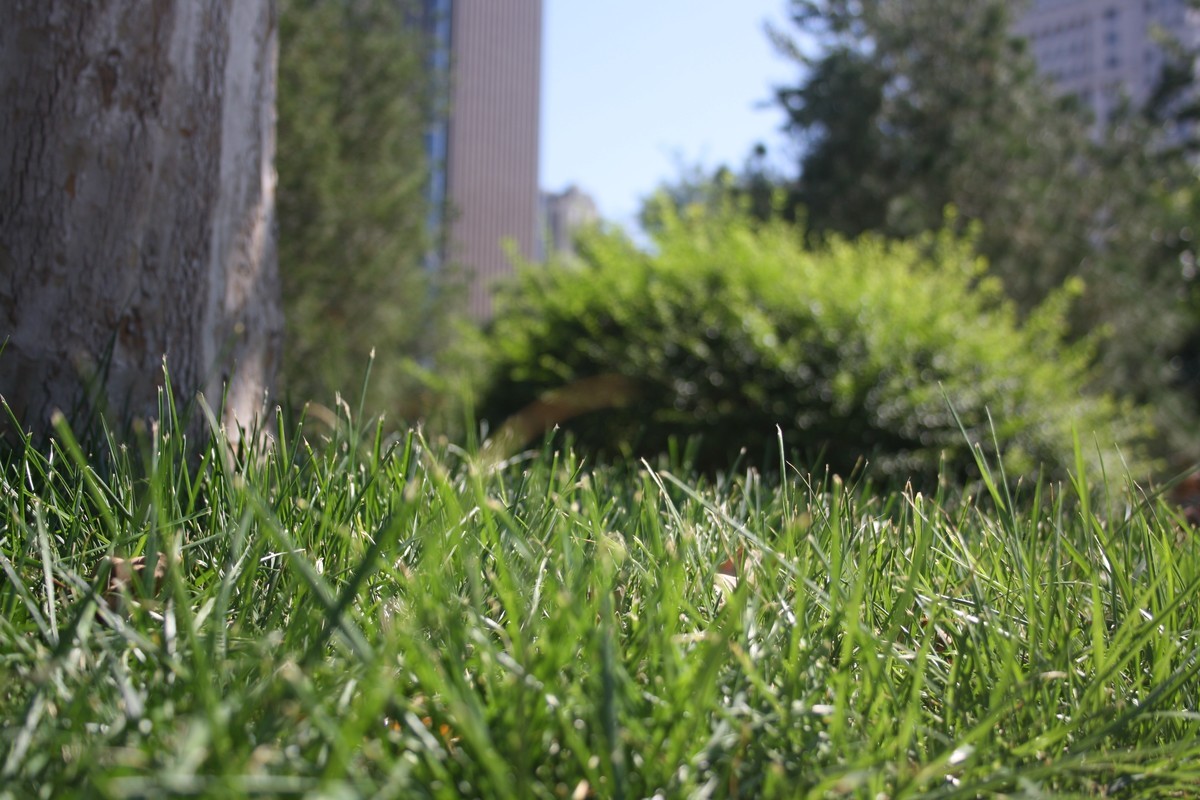 今天拍的风景，不怎样，还是不会调