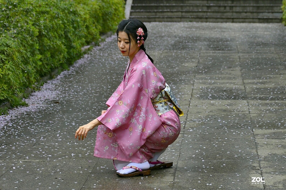 樱园之花-中关村在线摄影论坛