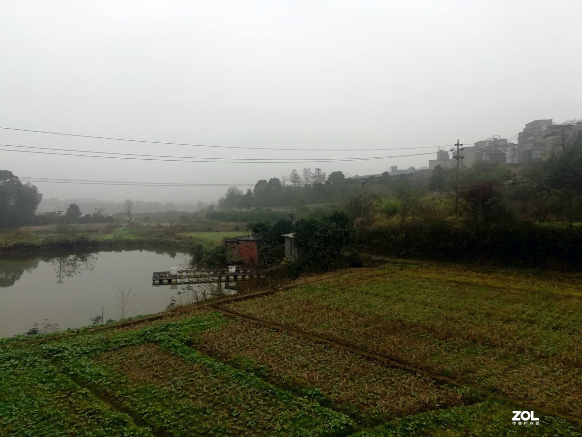 漫步星城 走街串巷（74）凛冬将至