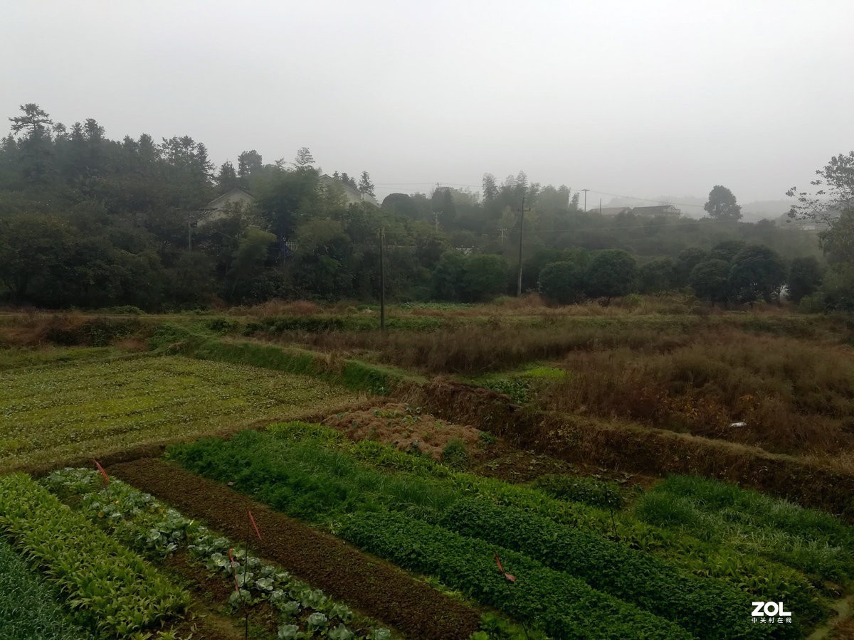 漫步星城 走街串巷（74）凛冬将至