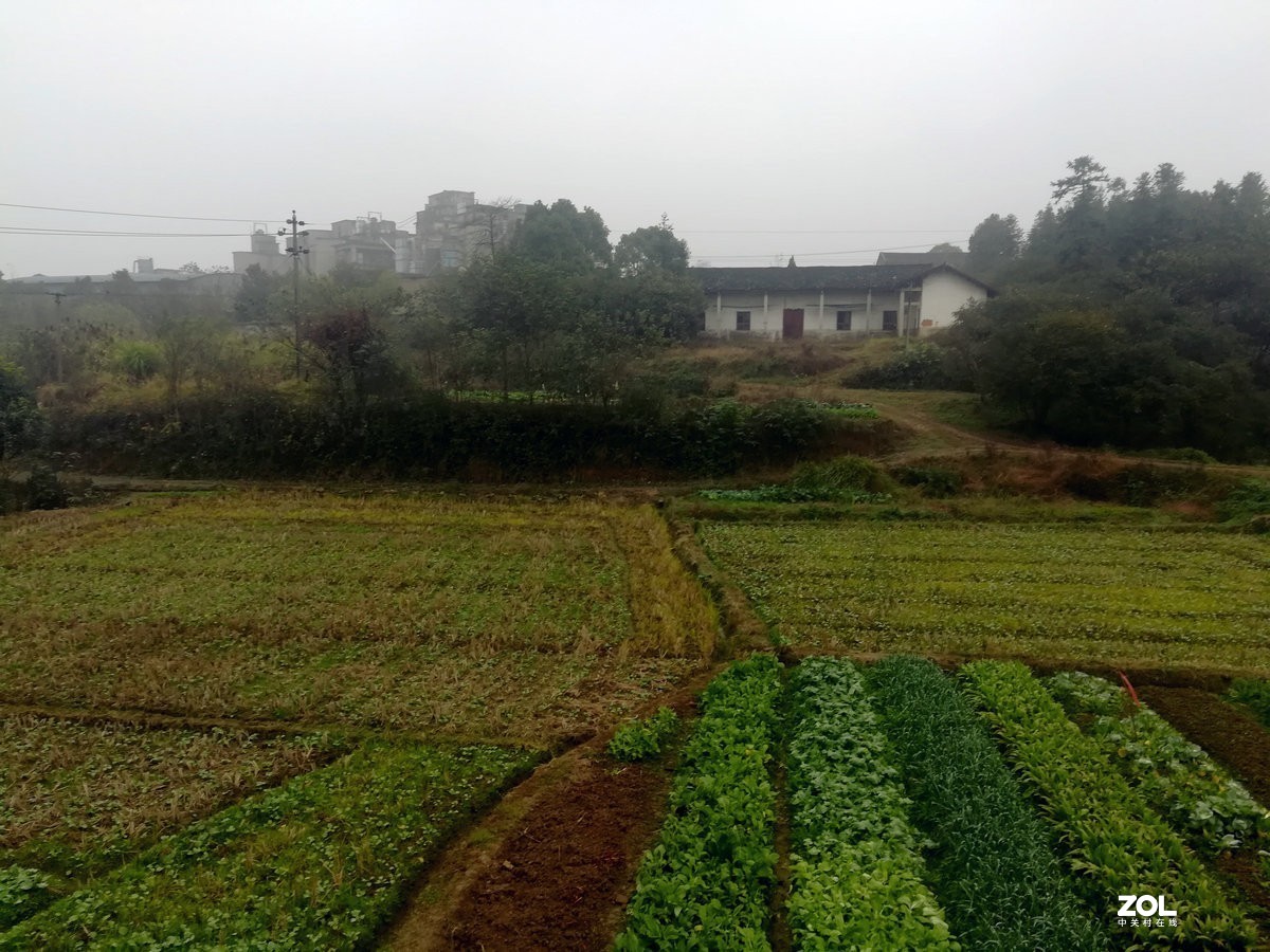 漫步星城 走街串巷（74）凛冬将至