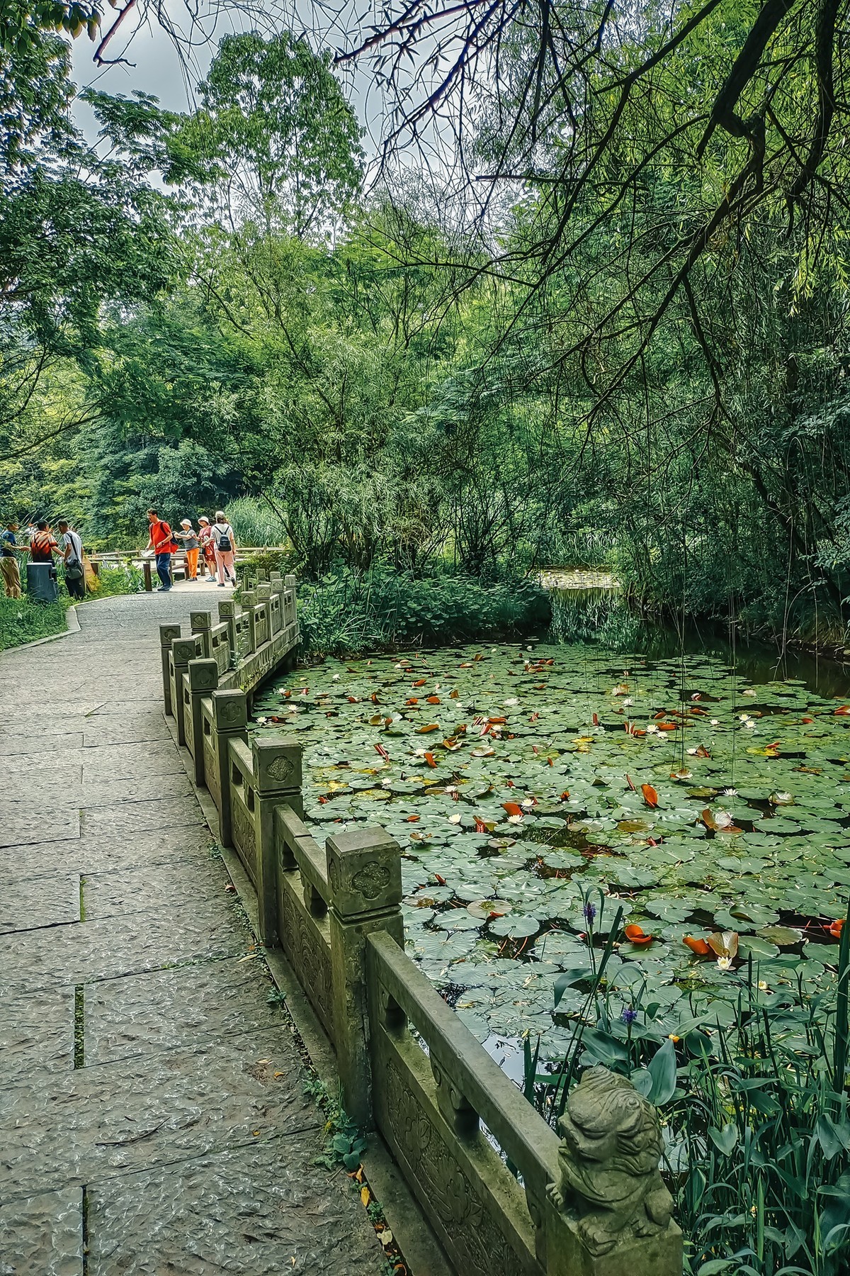 溧阳龙兴岛图片