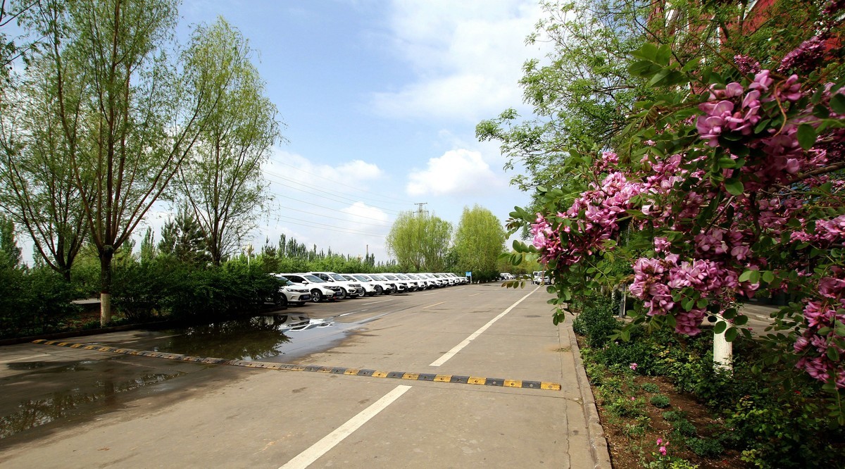 广角镜头下的锰业生活区