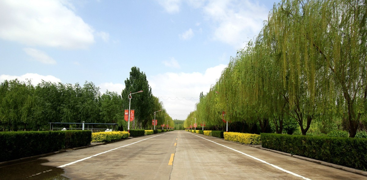 广角镜头下的锰业生活区