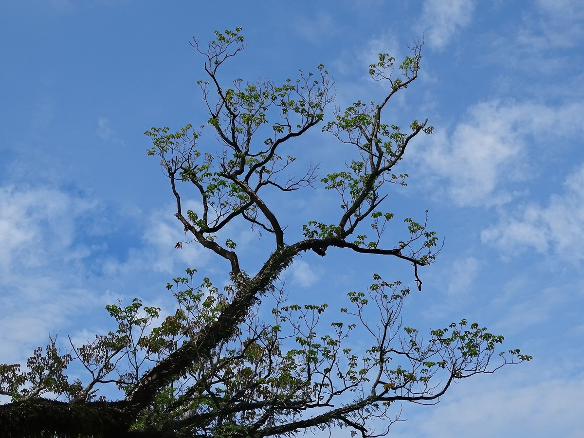 拍几张。感觉还行。