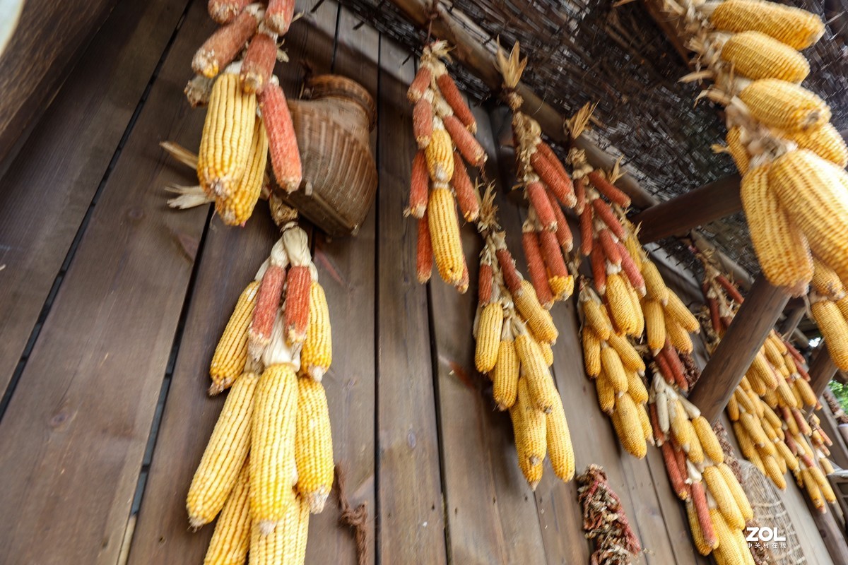 湘江里老渔村---4