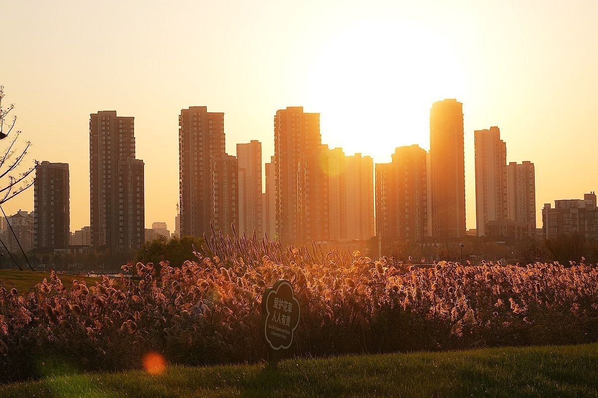 蒹葭苍苍，柳叶发黄