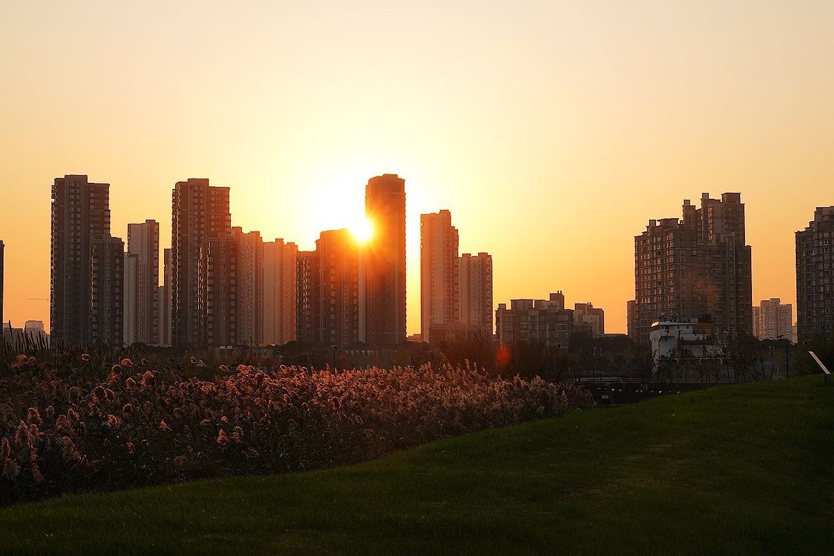 蒹葭苍苍，柳叶发黄